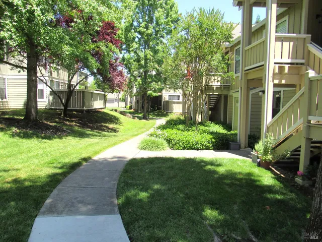 a view of a yard with plants and trees
