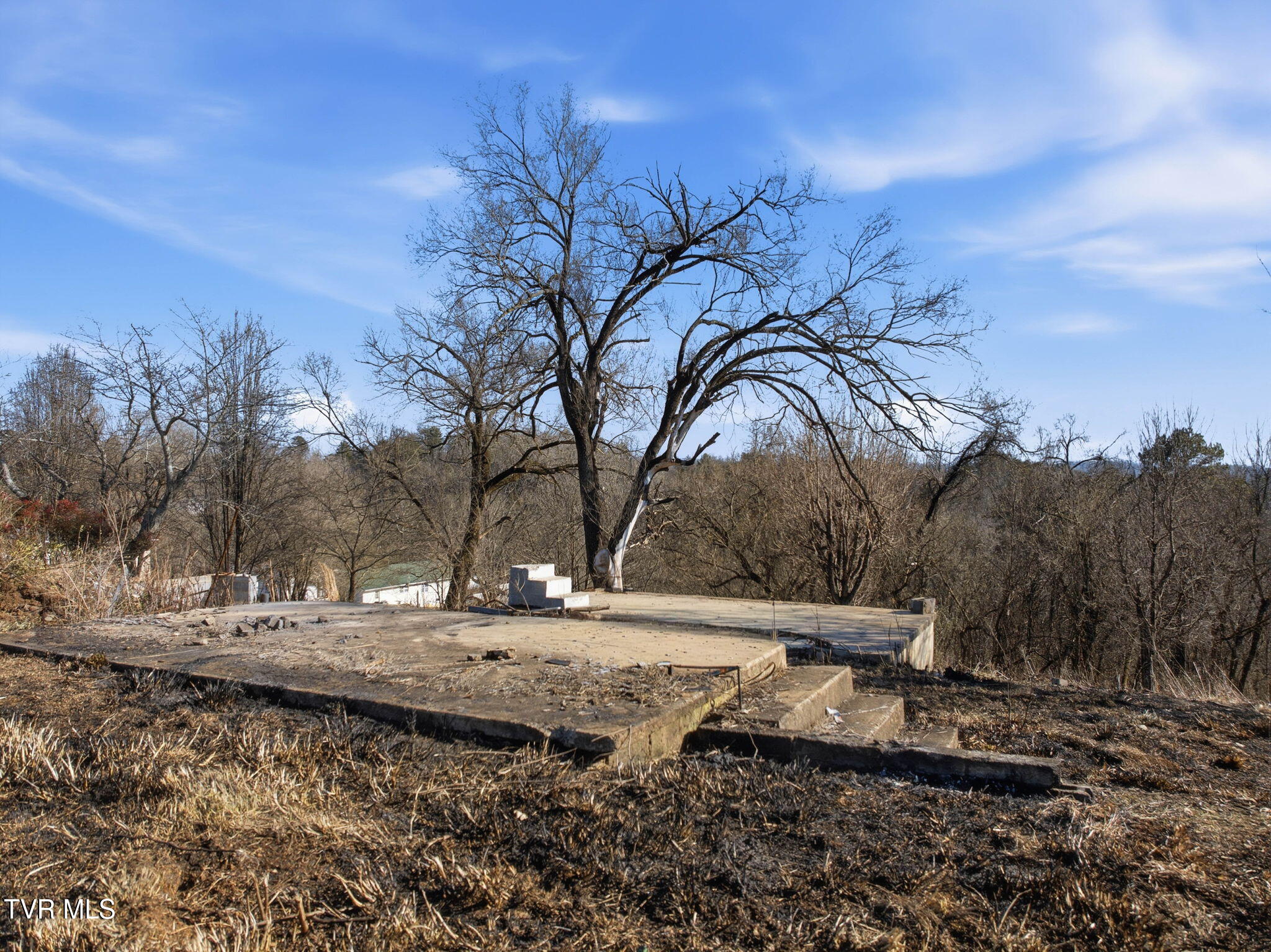 1515 Bloomingdale Road Kingsport, TN 37660 - Photo 15 of 19 10-web-or-mls-1515 Bloomingdale Rd-3