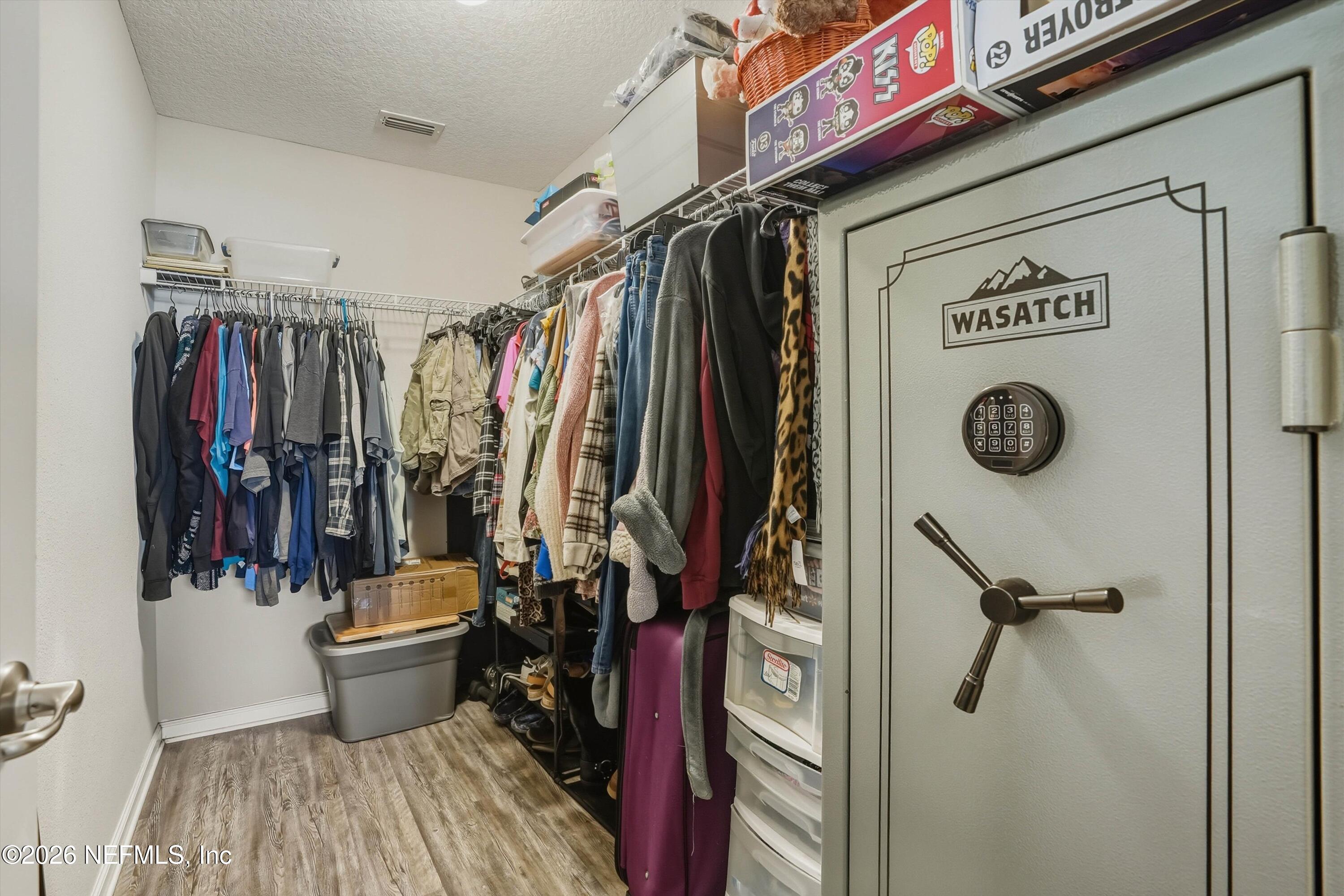4922 Barley Street Middleburg, FL 32068 - Photo 18 of 36 17-Walk-in Closet