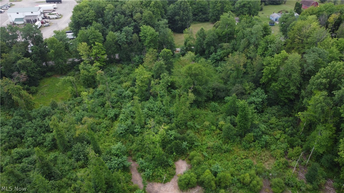0 Lane West Road Southwest Warren, OH 44481 - Photo 9 of 20