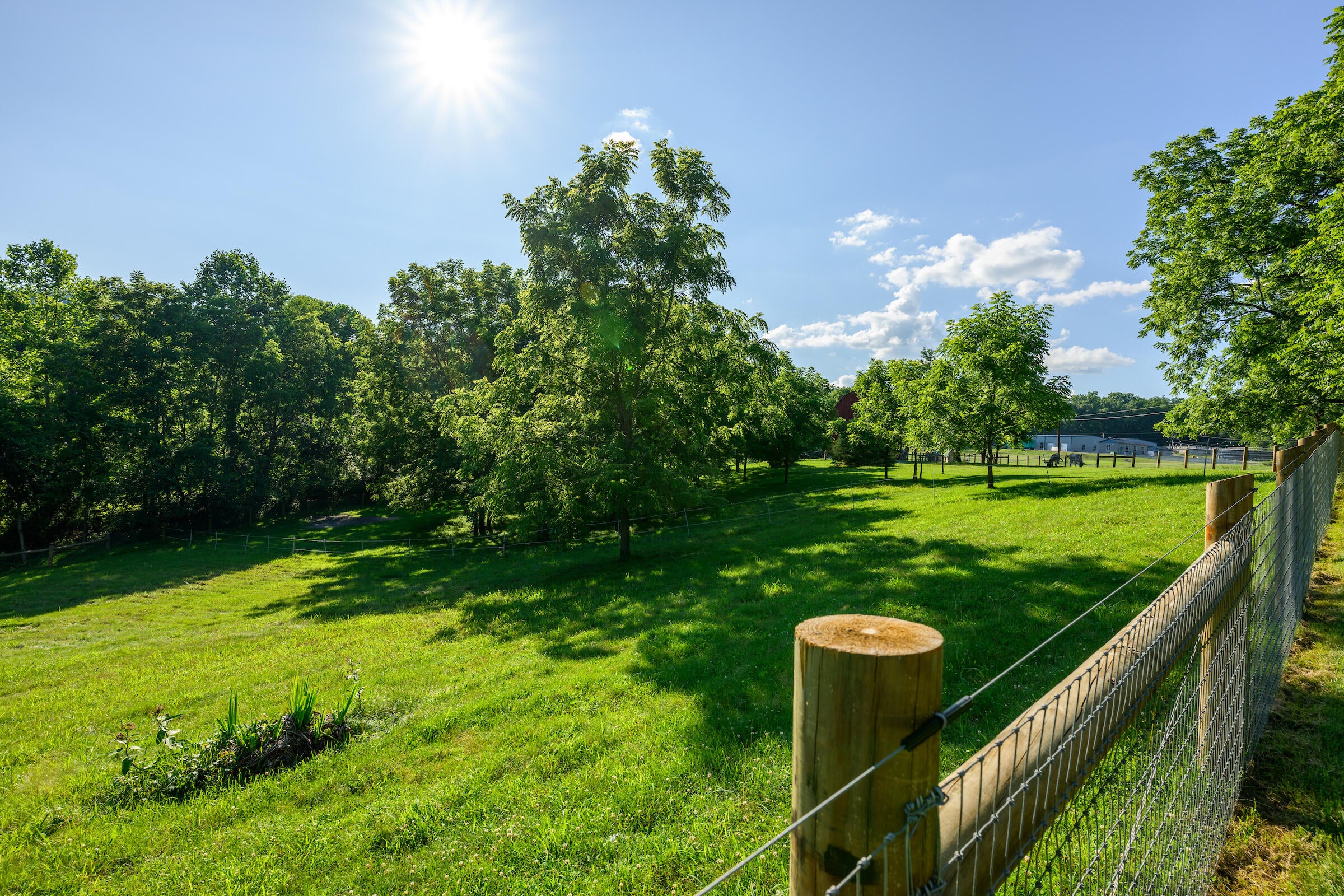 2704 Stone House Road Caldwell, WV 24925 - Photo 92 of 94 Gallery Image 92