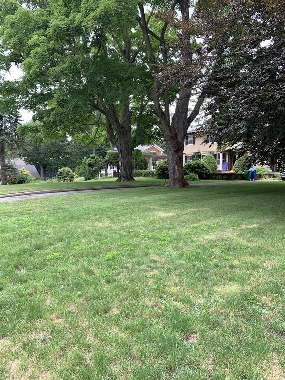 75 Pleasant Street Newton, MA 02459 - Photo 3 of 14 a view of a trees in a yard