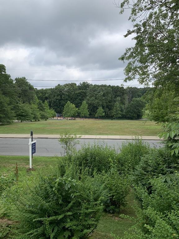 75 Pleasant Street Newton, MA 02459 - Photo 7 of 14 a view of a green field with an trees