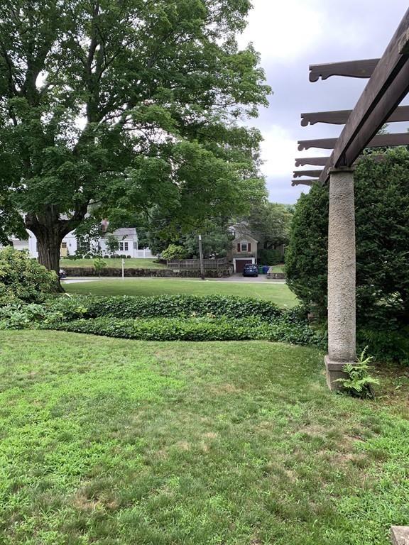 75 Pleasant Street Newton, MA 02459 - Photo 8 of 14 a view of a big yard with plants and large trees