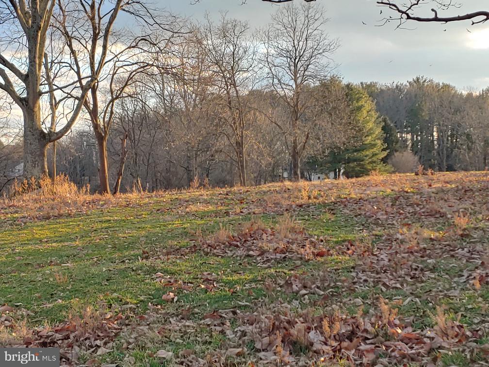 Washwright Road Hume, VA 22639 - Photo 11 of 19 Western view