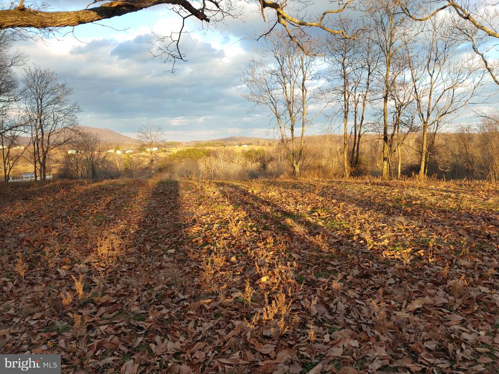 Washwright Road Hume, VA 22639 - Photo 12 of 19