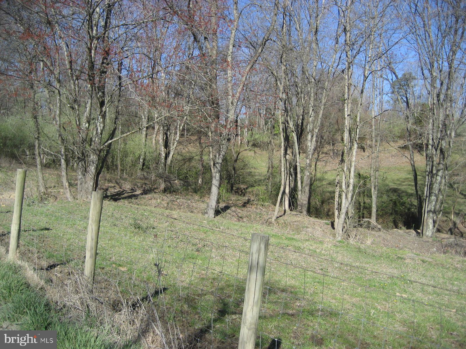 Washwright Road Hume, VA 22639 - Photo 13 of 19 Road Frontage