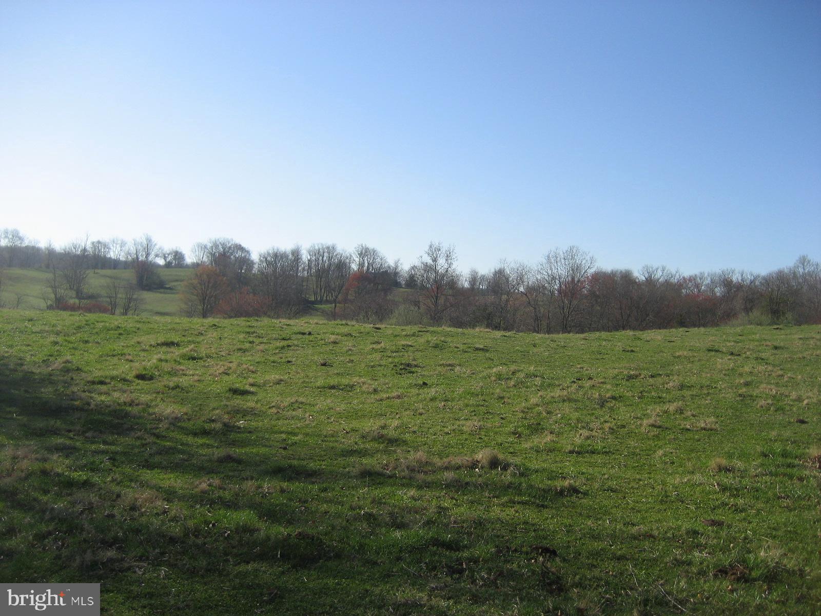 Washwright Road Hume, VA 22639 - Photo 14 of 19 Part of lot