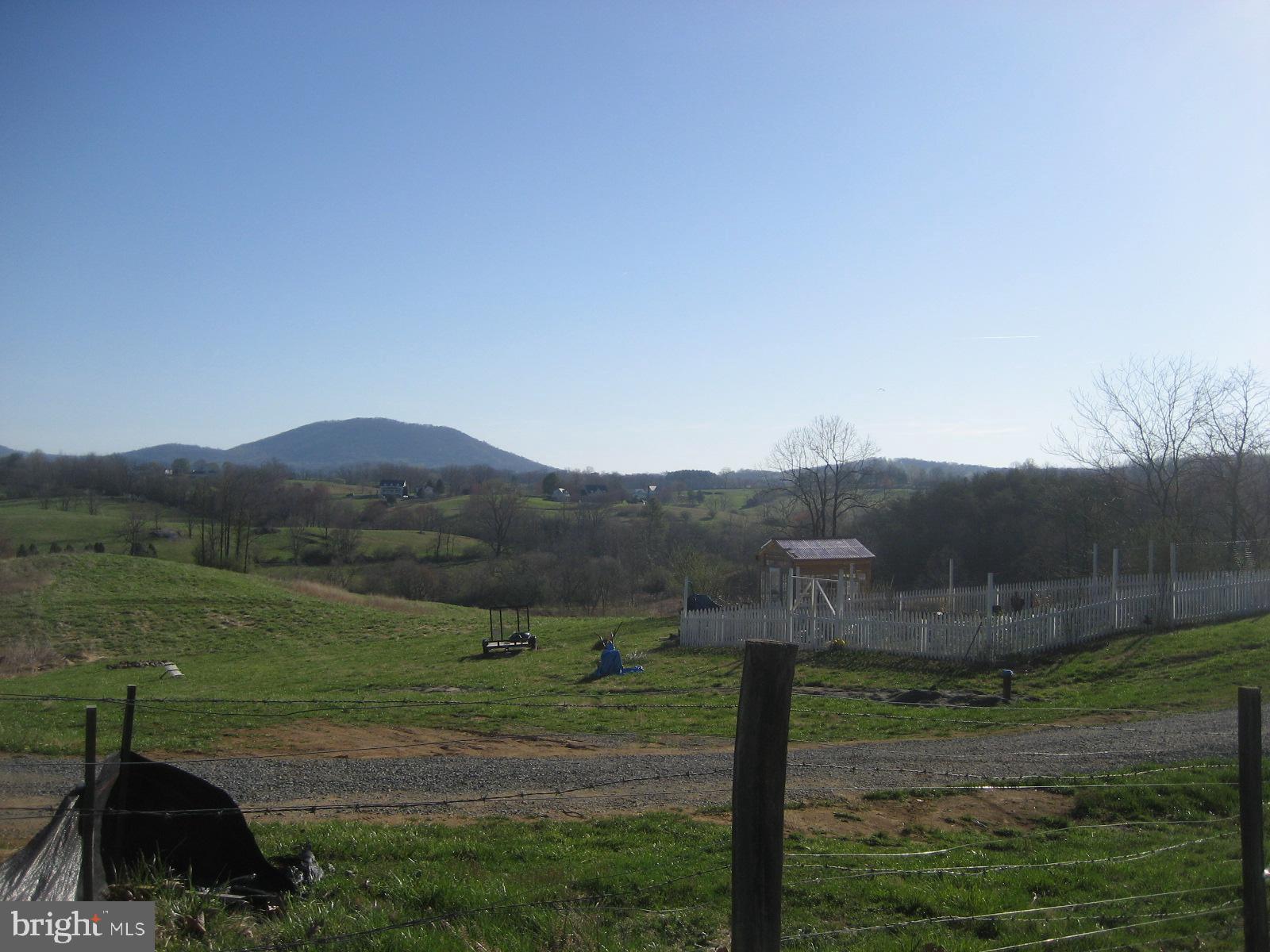 Washwright Road Hume, VA 22639 - Photo 16 of 19 Neighboring boundary line overlooking garden