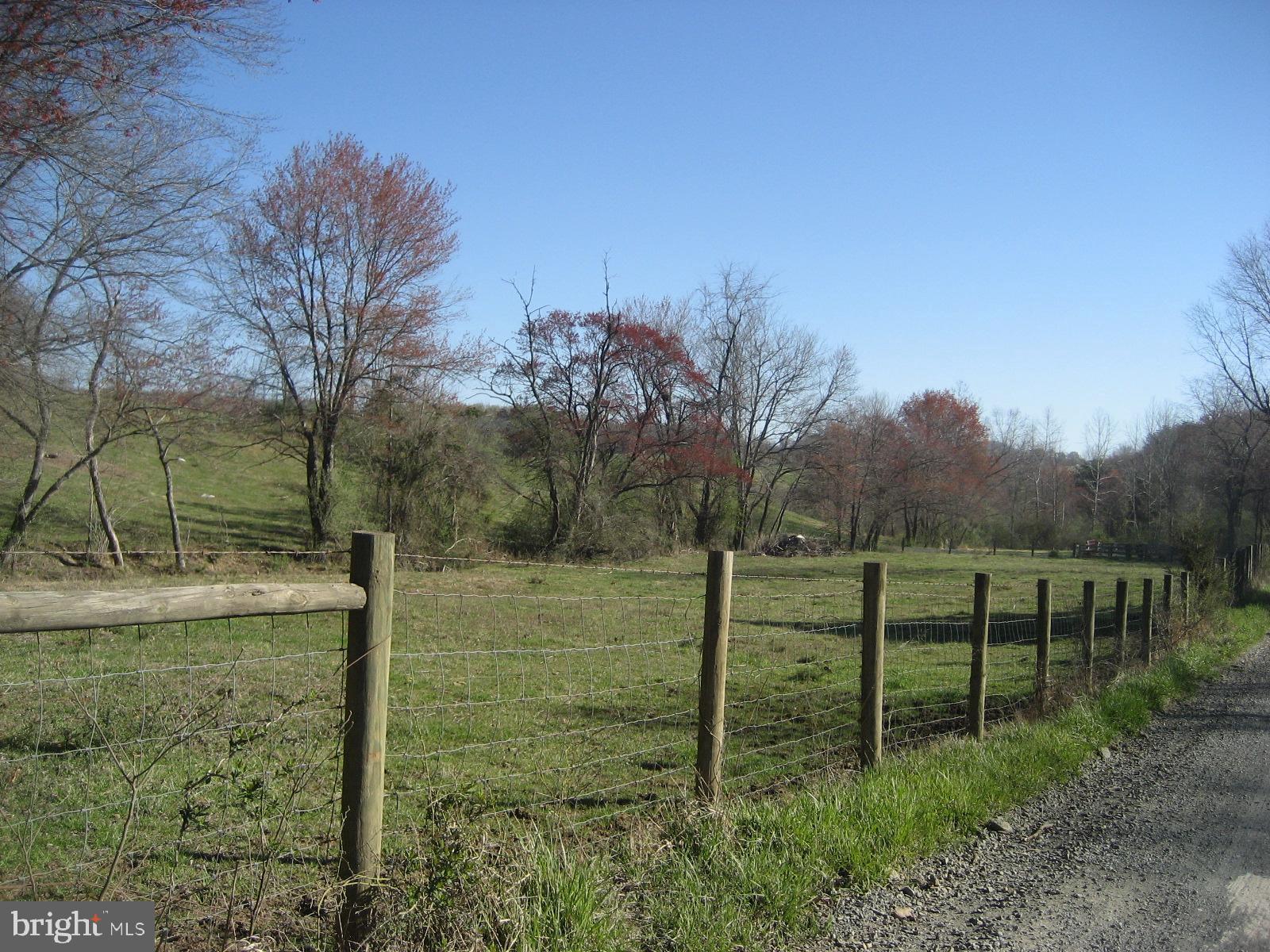 Washwright Road Hume, VA 22639 - Photo 17 of 19 Road Frontage