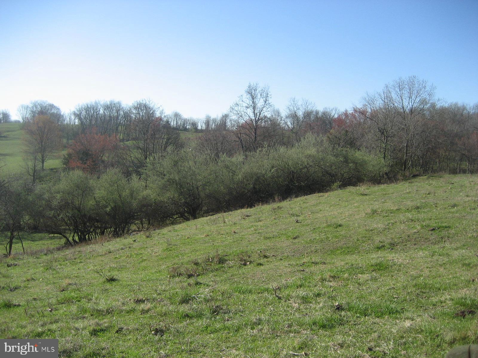 Washwright Road Hume, VA 22639 - Photo 18 of 19 Shows sloping