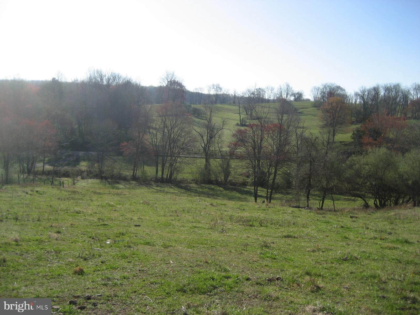 Washwright Road Hume, VA 22639 - Photo 19 of 19 Possible House Site