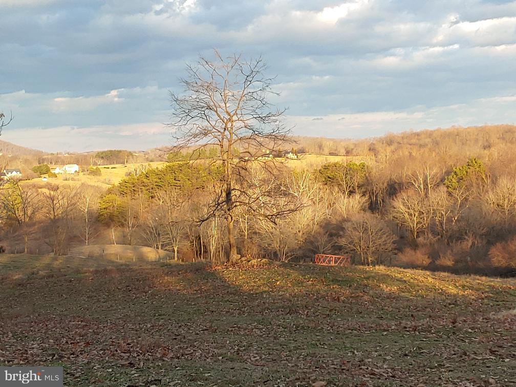 Washwright Road Hume, VA 22639 - Photo 3 of 19 Southeast view
