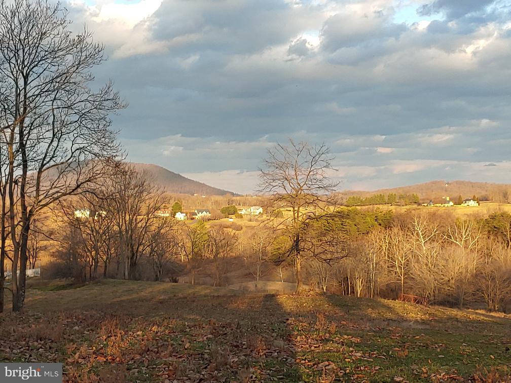 Washwright Road Hume, VA 22639 - Photo 5 of 19 Estate Homes away in a distance