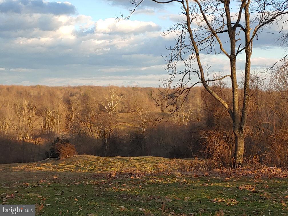 Washwright Road Hume, VA 22639 - Photo 6 of 19 southern view