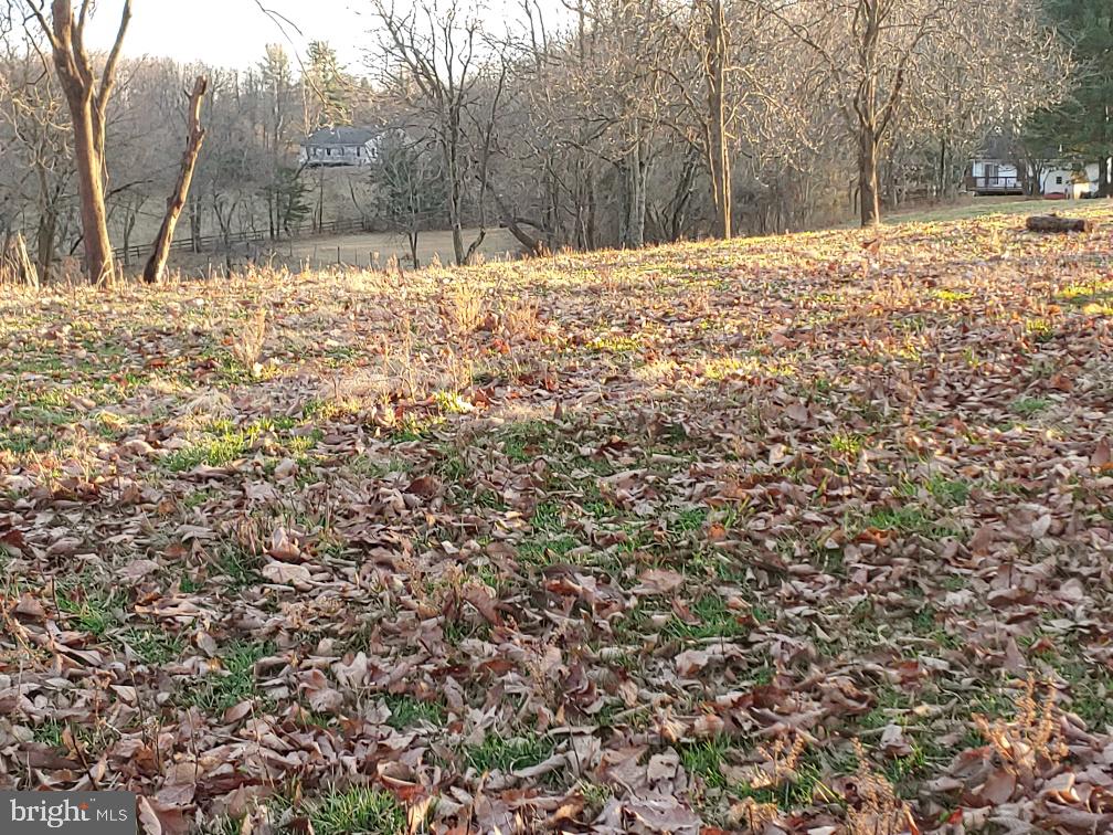 Washwright Road Hume, VA 22639 - Photo 7 of 19 Cleared land