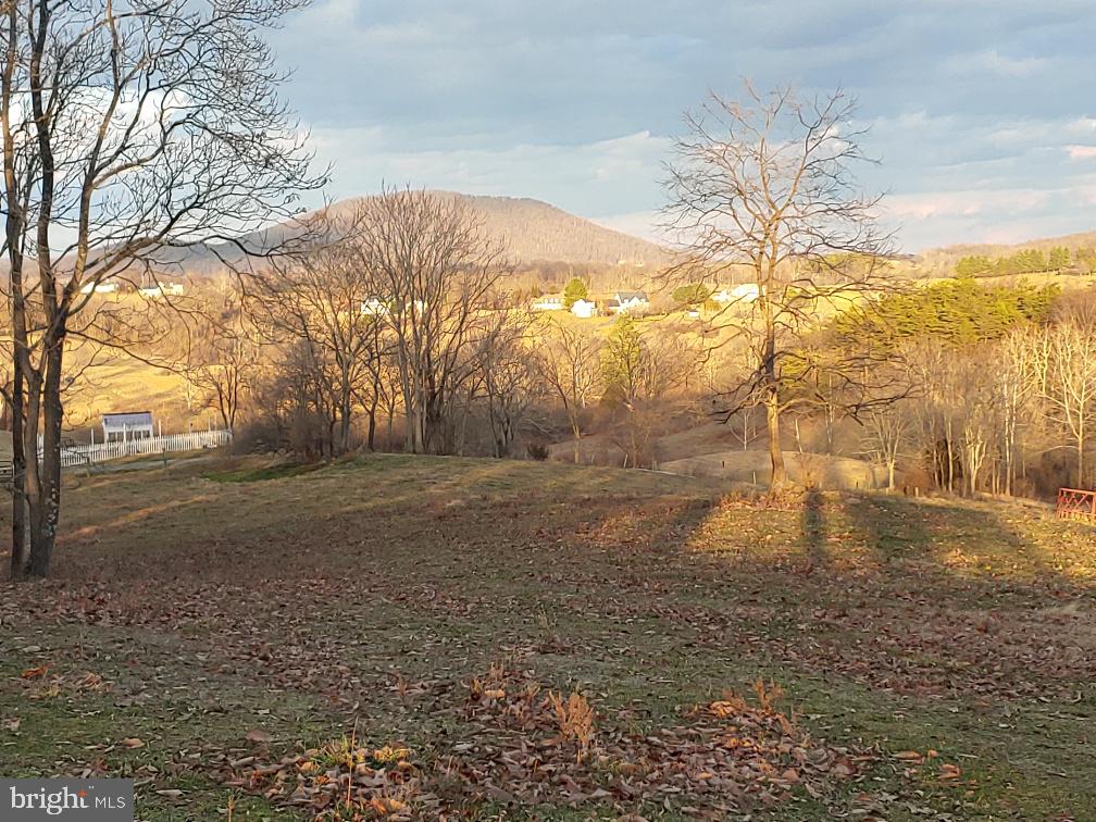 Washwright Road Hume, VA 22639 - Photo 8 of 19 East view