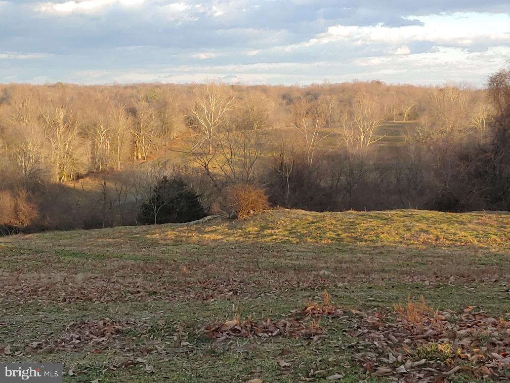 Washwright Road Hume, VA 22639 - Photo 9 of 19 front lawn of prospect homesite