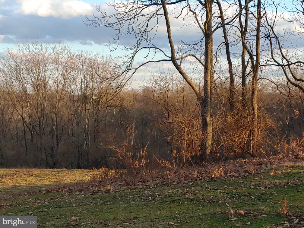 Washwright Road Hume, VA 22639 - Photo 10 of 19