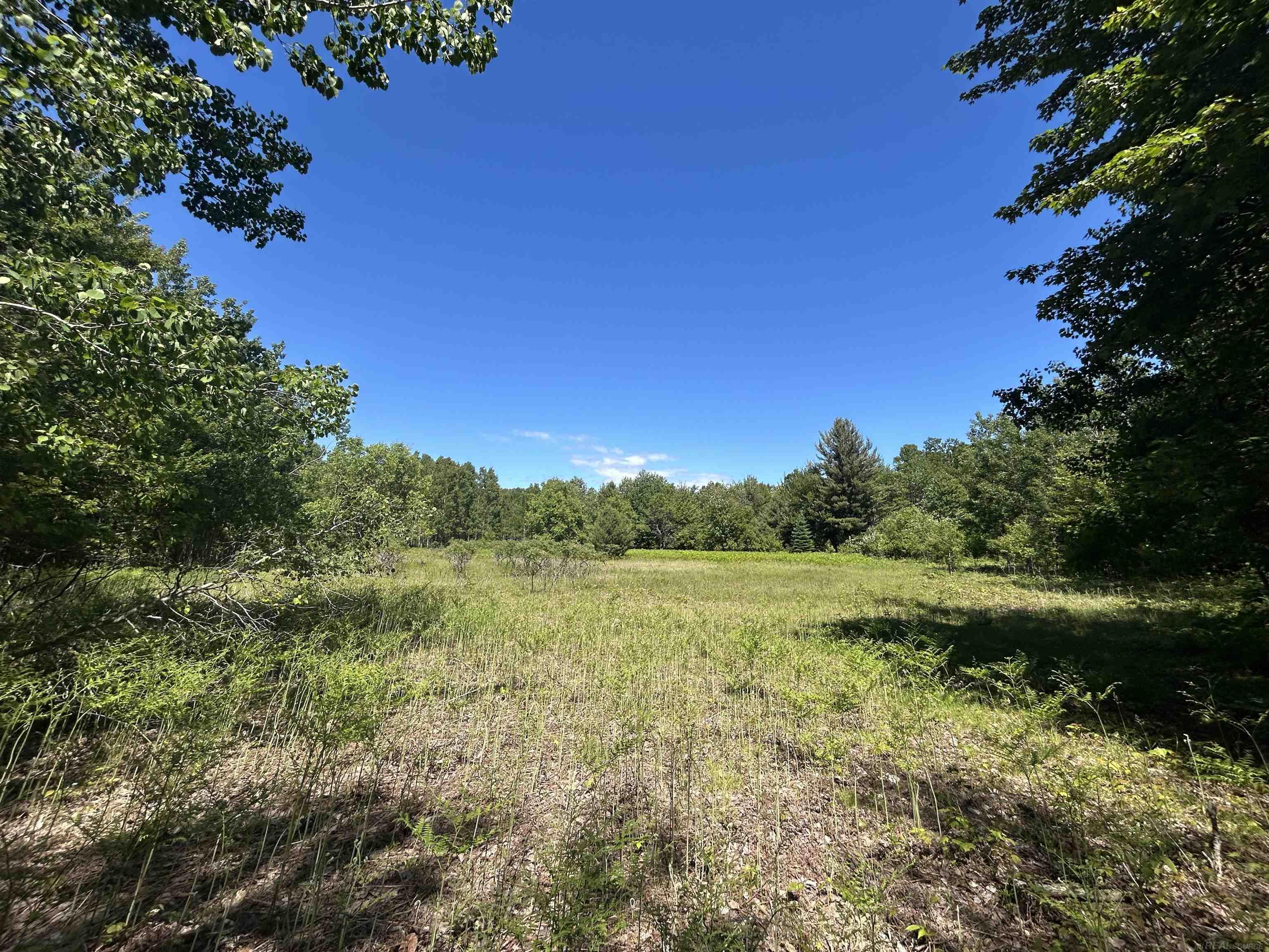 2263 Elder Road Carp Lake, MI 49718 - Photo 39 of 44