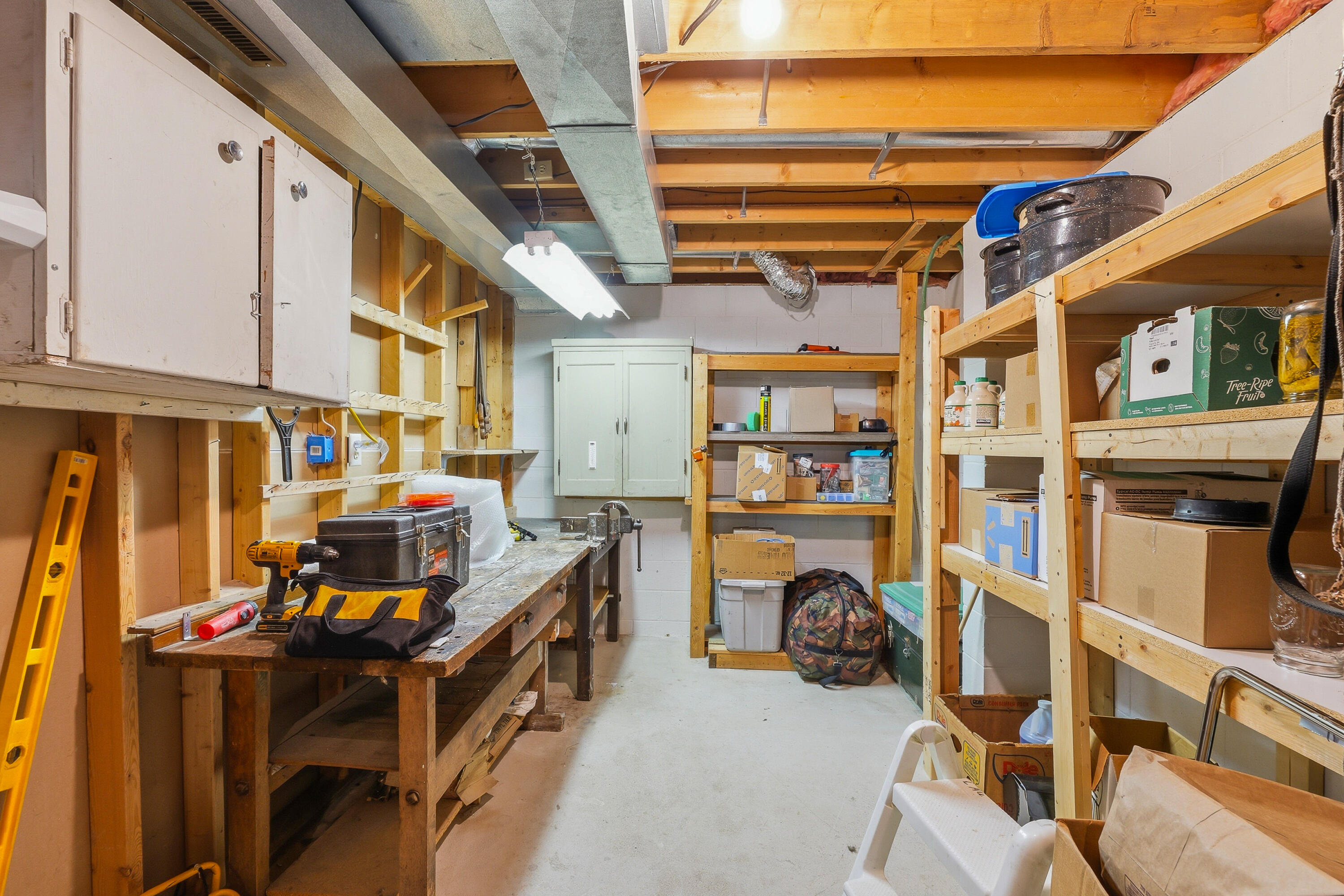 1237 Audubon Road Howards Grove, WI 53083 - Photo 20 of 31 Storage Room