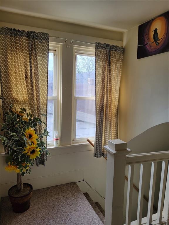 276 13th Street Ambridge, PA 15003 - Photo 19 of 25 a potted plant sitting in front of a window