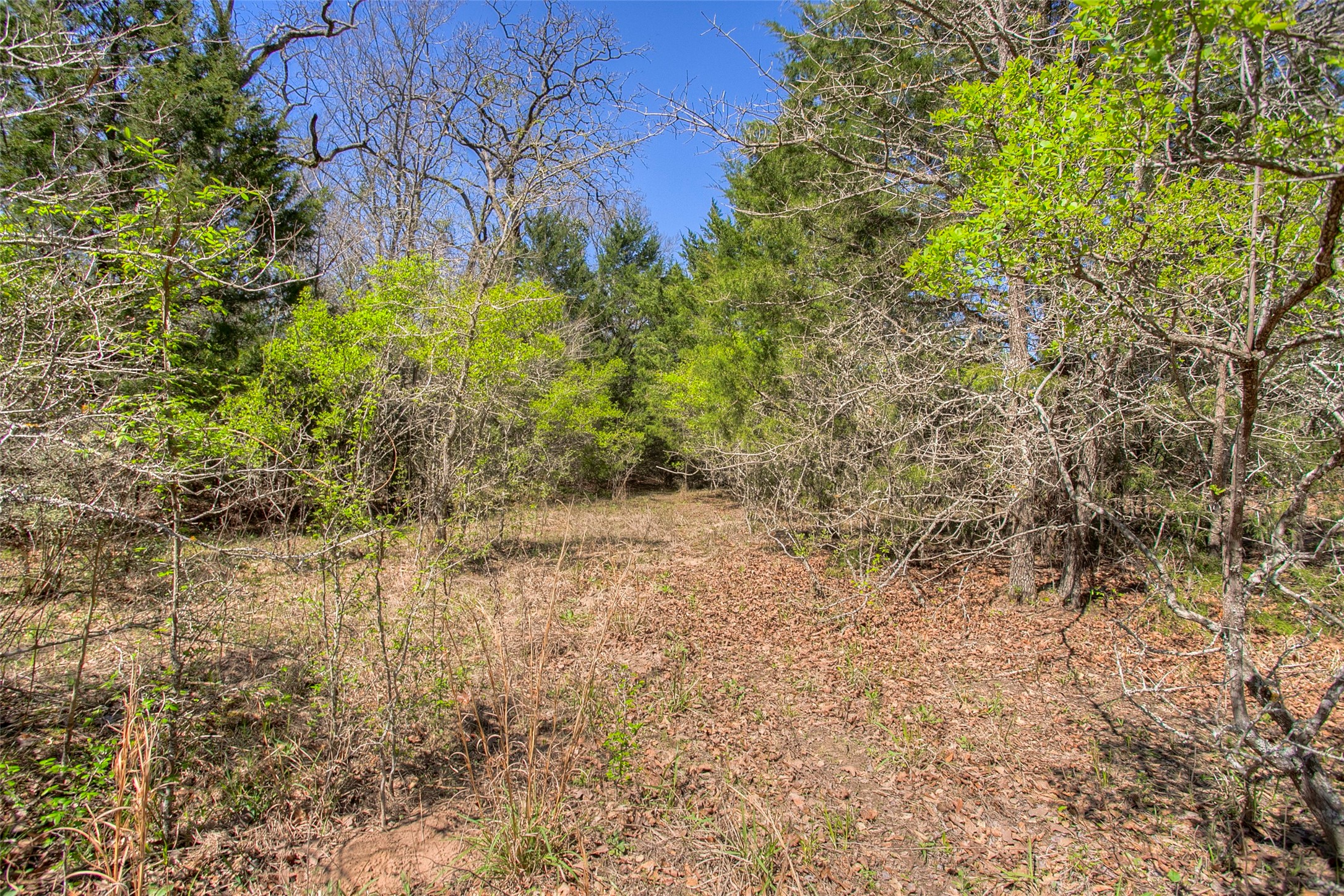 482 County Road 482 Normangee, TX 77871 - Photo 28 of 49