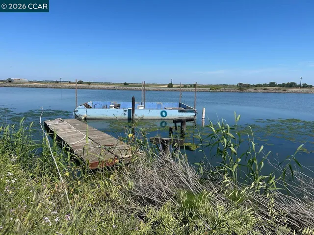 a view of large yard