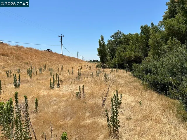a pathway of a field