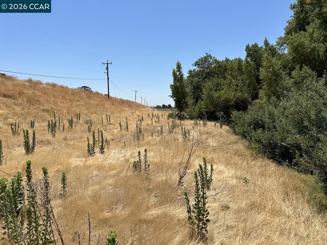 0 Bradford Island Road Bethel Island, CA 94511 - Photo 6 of 9 a view of a yard with a tree