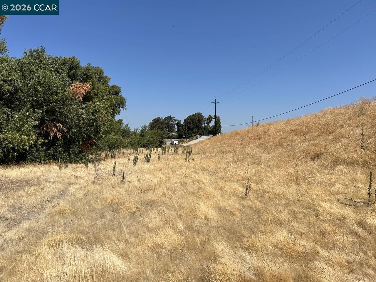 0 Bradford Island Road Bethel Island, CA 94511 - Photo 7 of 9 a view of large yard