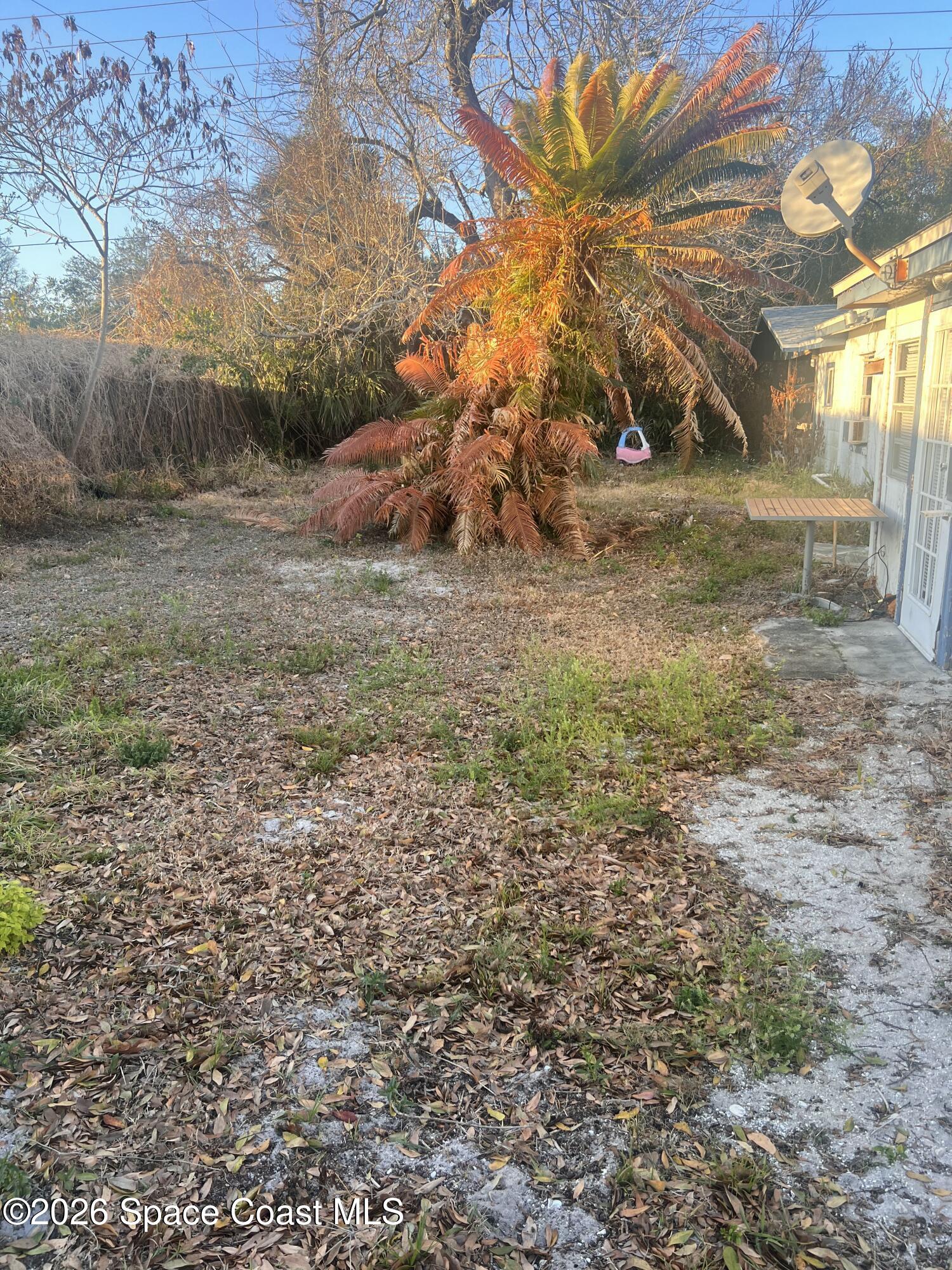 441 Vickers Street, Unit A Melbourne, FL 32935 - Photo 18 of 19 a view of a yard with a tree