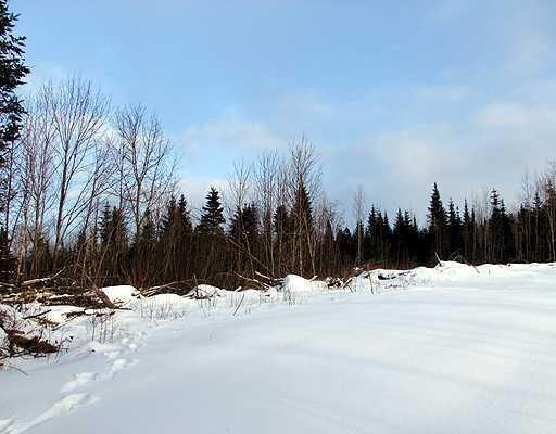 Lot 8 Hemore Road Houlton, ME 04730 - Photo 23 of 25 Land.