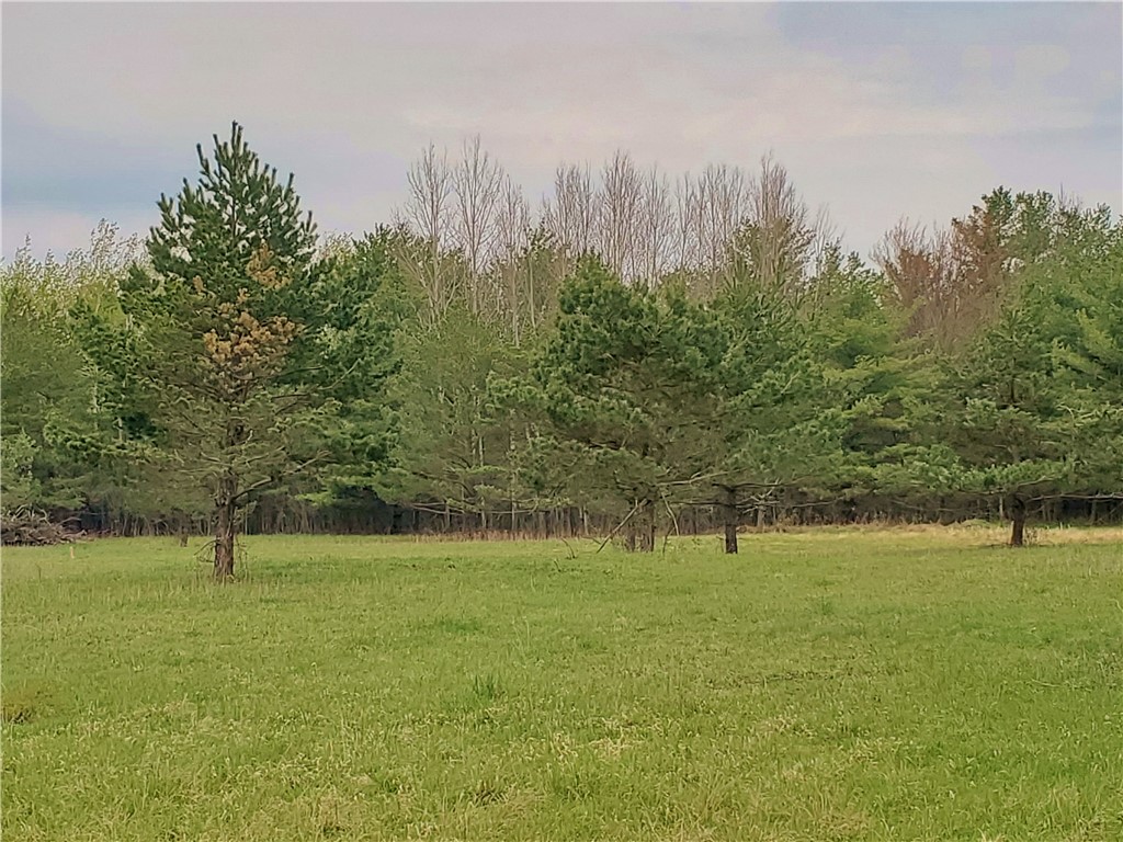 0 Beach Road Rock Stream, NY 14878 - Photo 11 of 42