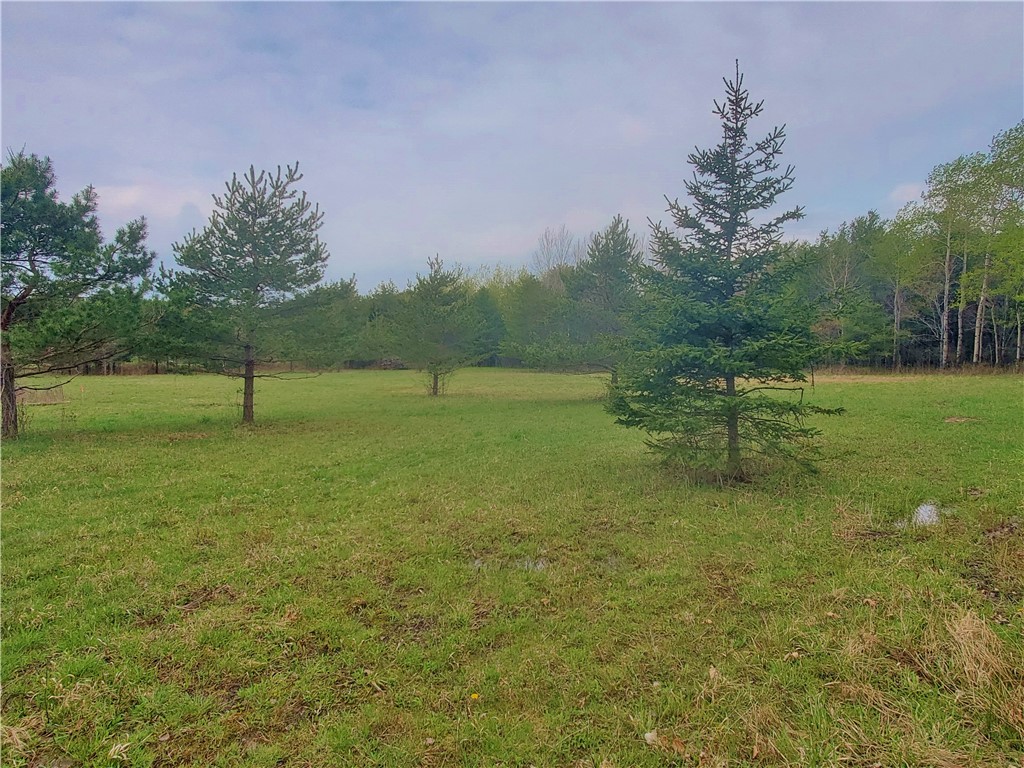 0 Beach Road Rock Stream, NY 14878 - Photo 12 of 42