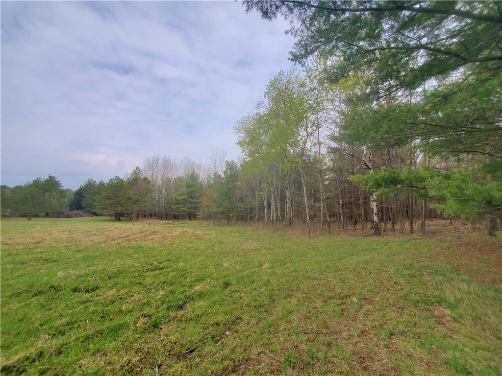 0 Beach Road Rock Stream, NY 14878 - Photo 13 of 42