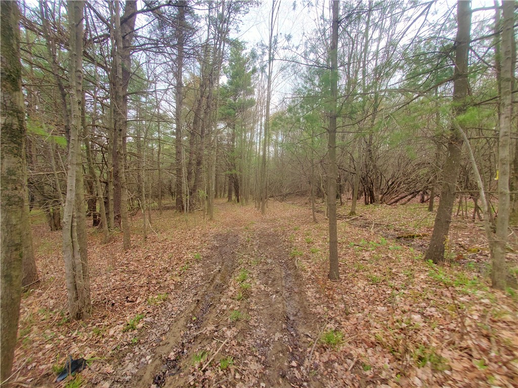 0 Beach Road Rock Stream, NY 14878 - Photo 15 of 42