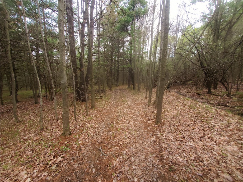 0 Beach Road Rock Stream, NY 14878 - Photo 16 of 42