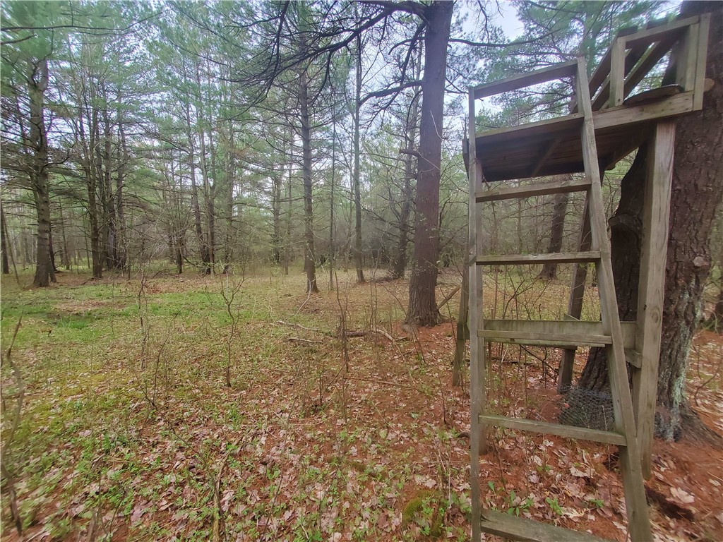 0 Beach Road Rock Stream, NY 14878 - Photo 17 of 42