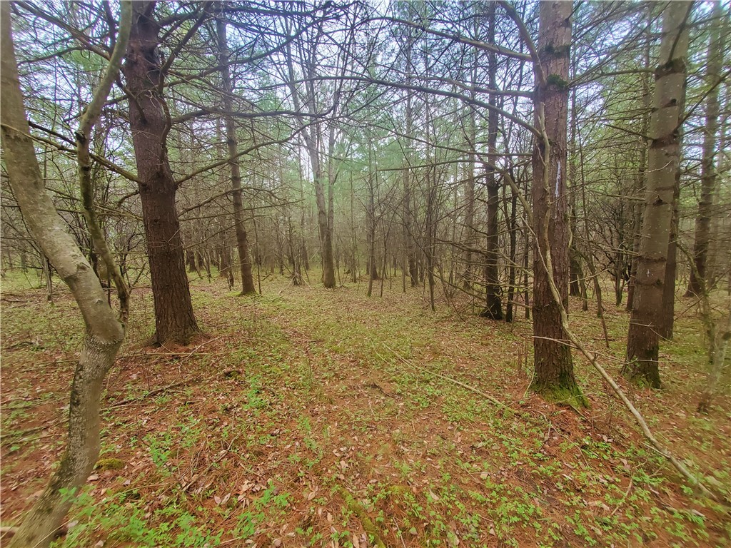 0 Beach Road Rock Stream, NY 14878 - Photo 18 of 42