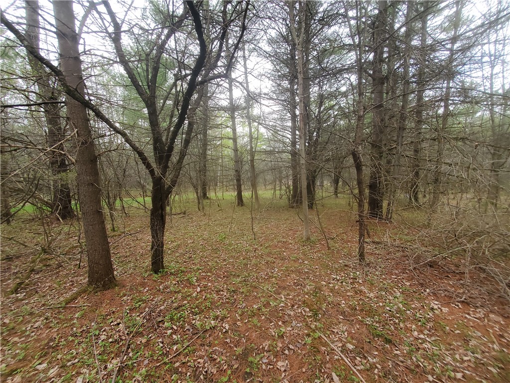 0 Beach Road Rock Stream, NY 14878 - Photo 20 of 42