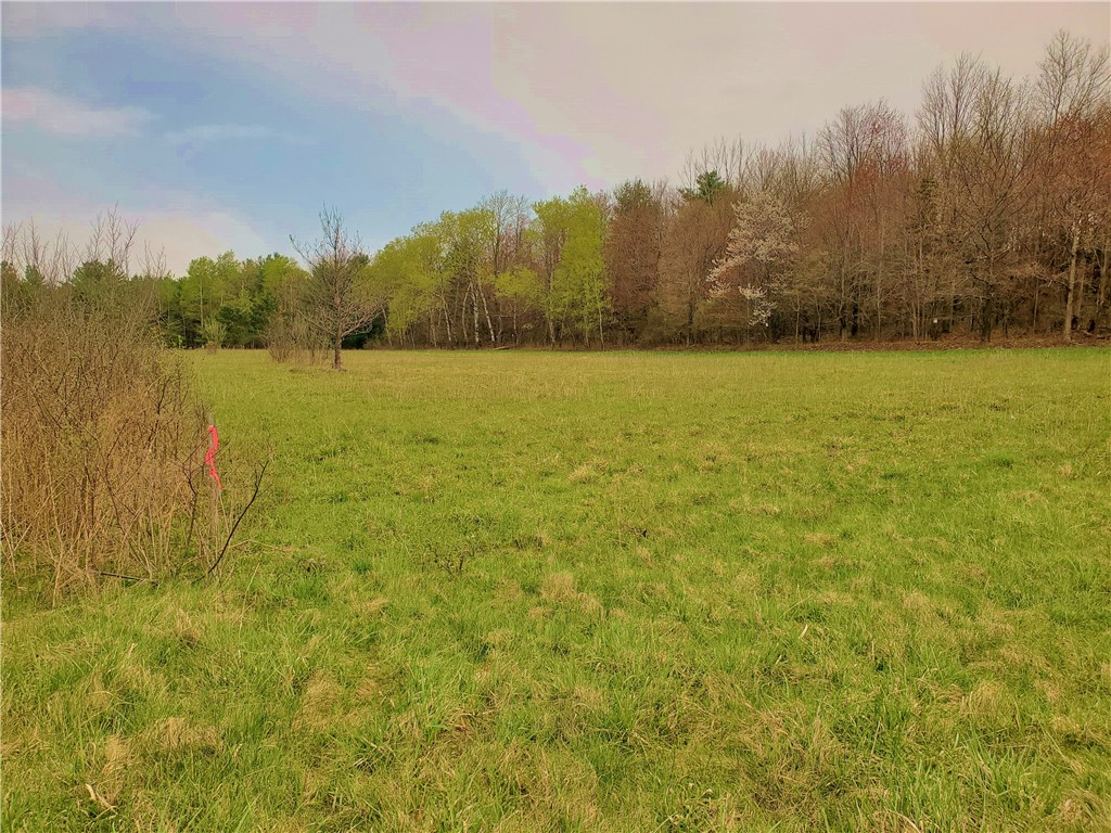 0 Beach Road Rock Stream, NY 14878 - Photo 2 of 42