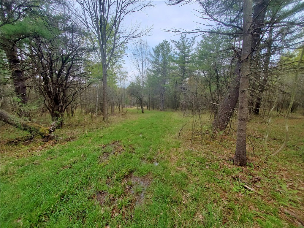 0 Beach Road Rock Stream, NY 14878 - Photo 22 of 42