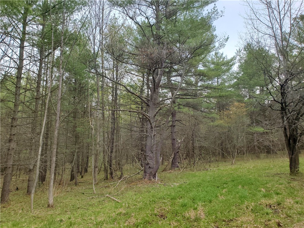 0 Beach Road Rock Stream, NY 14878 - Photo 23 of 42