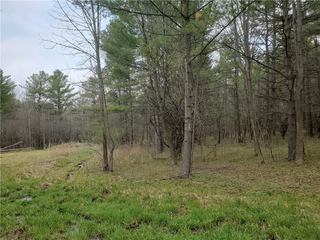 0 Beach Road Rock Stream, NY 14878 - Photo 24 of 42