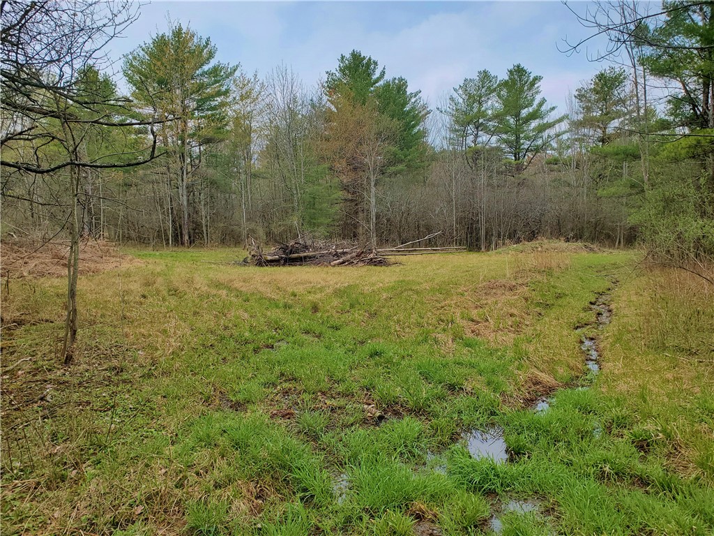 0 Beach Road Rock Stream, NY 14878 - Photo 25 of 42