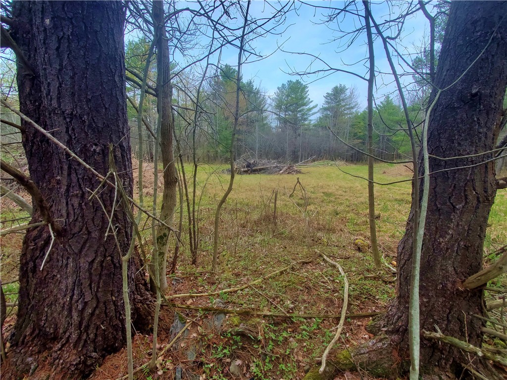 0 Beach Road Rock Stream, NY 14878 - Photo 26 of 42