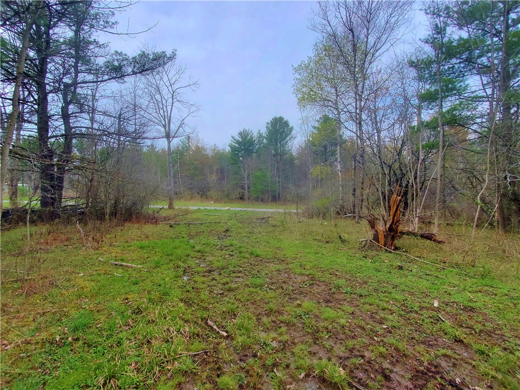 0 Beach Road Rock Stream, NY 14878 - Photo 27 of 42