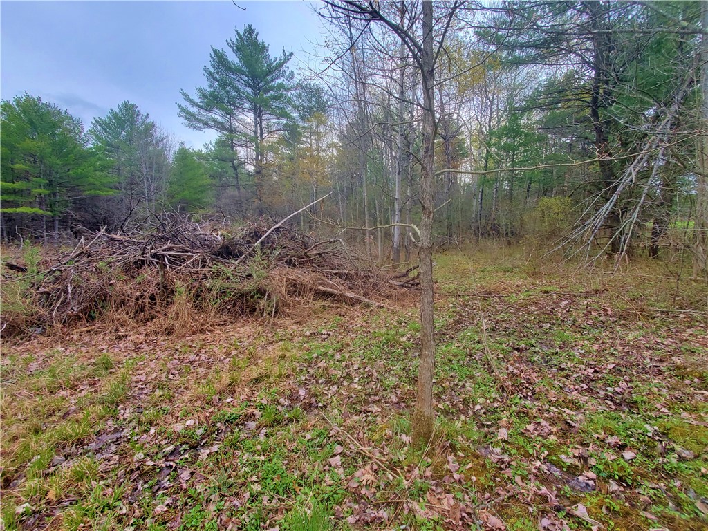 0 Beach Road Rock Stream, NY 14878 - Photo 28 of 42