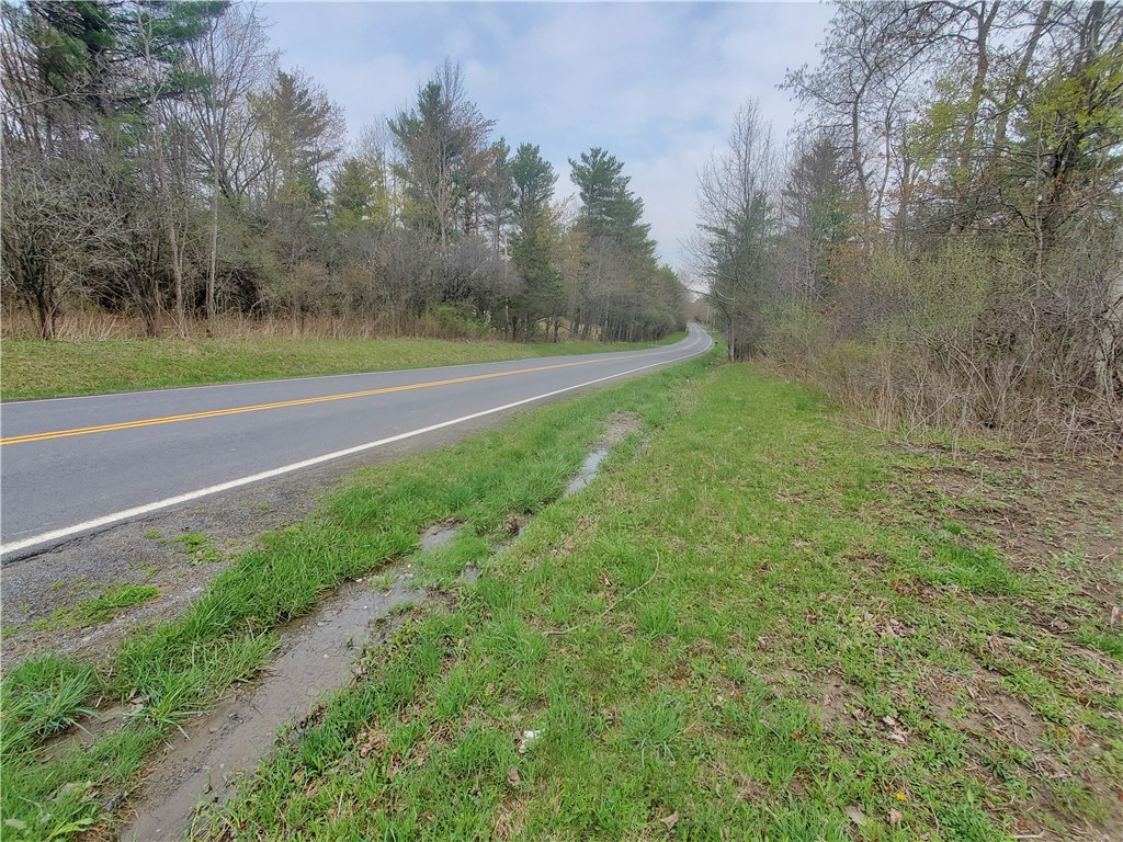 0 Beach Road Rock Stream, NY 14878 - Photo 29 of 42